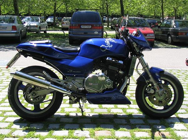 Kawasaki GPZ 900R von Manfred Karlhuber