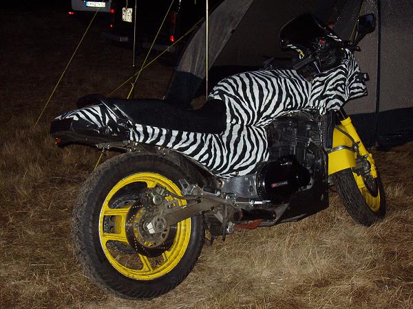 Kawasaki GPZ 900R von Daniel