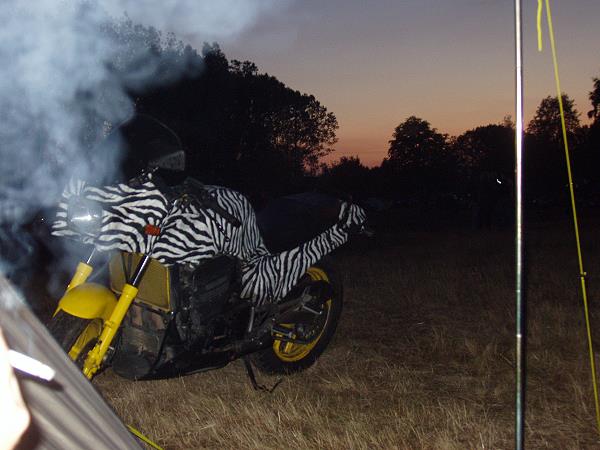 Kawasaki GPZ 900R von Daniel