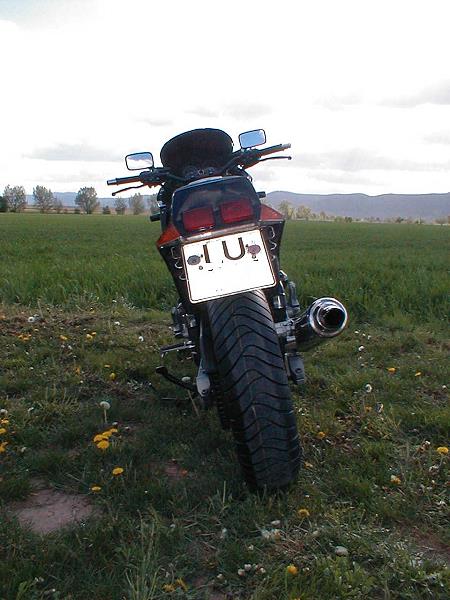 Kawasaki GPZ 900R von Markus Hoffmann