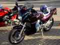 1-gpz-herbsttreffen-alex11.jpg