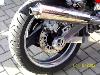 100_0282.jpg