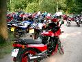 9gpzberthold86.jpg