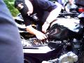 10gpz-alex-042.jpg