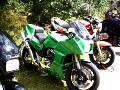 10gpz-alex-079.jpg