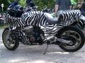 10gpz-alfa-040.jpg