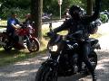10gpz-alfa-071.jpg