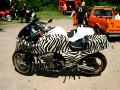 10gpz-fred669-015.jpg