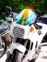 10gpz-knight-009.jpg