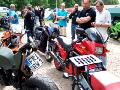 10gpz-knight-015.jpg