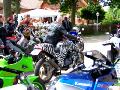 10gpz-knight-019.jpg