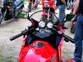 10gpz-knight-093.jpg