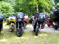10gpz-knight-095.jpg