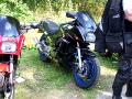 10gpz-knight-106.jpg