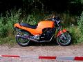 10gpz-knight-112.jpg