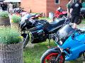 10gpz-knight-118.jpg