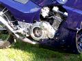10gpz-knight-119.jpg