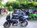 10gpz-knight-159.jpg