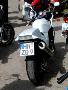 10gpz-patrick-036.jpg
