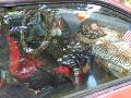 10gpz-patrick-109.jpg