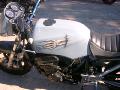 10gpz-queeni-041.jpg
