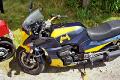 10gpz-ronny-029.jpg