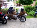 10gpz-tueddel-066.jpg