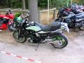 11gpzfred66975.jpg