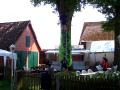11gpztueddel013.jpg