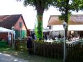 11gpztueddel016.jpg