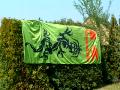 1-welcome-sun-axel-01.jpg