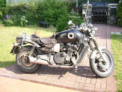 ZL 2 fuer Forum.webp