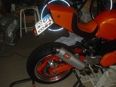 IMAG0013.webp