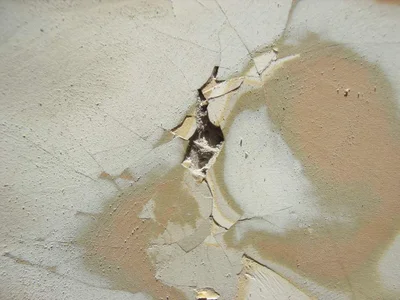 R0011774.webp