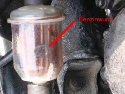 Benzinwurm.webp