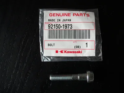 Bremssattelschraube.webp