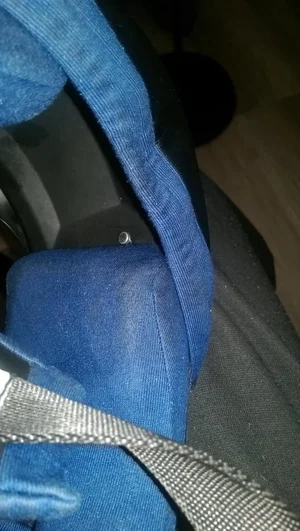 IMAG0380.webp