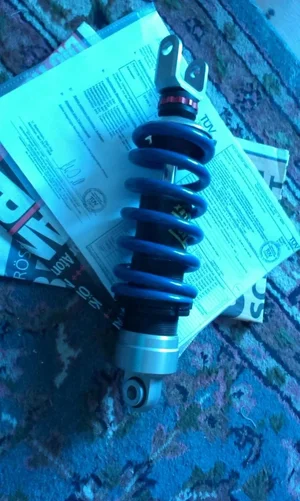 IMAG1377.webp