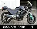 fischer01.webp
