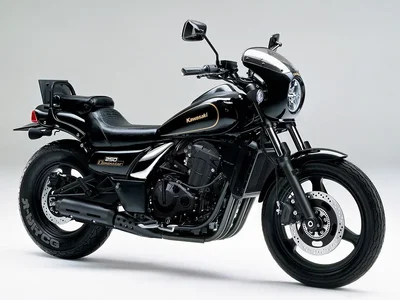 ELIMINATOR-ZL-250.webp ELIMINATOR-ZL-250.webp
