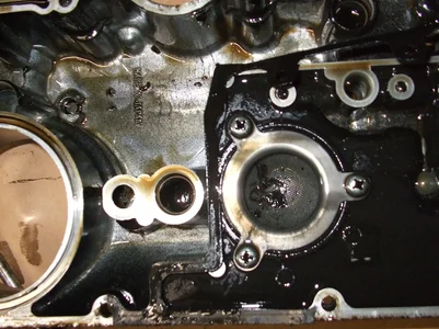 1 006.webp