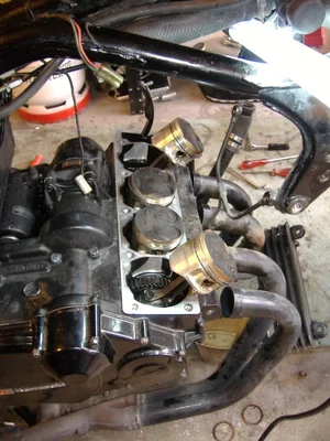 DSCF5951.webp