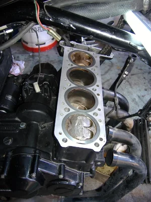 DSCF5961.webp