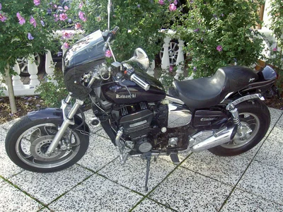 moped 009.webp