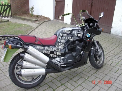 witti.webp