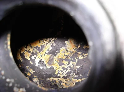 rost 2.webp