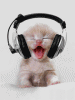 178934-0.gif