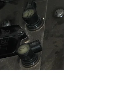 stecker.webp