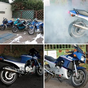 cerberos - Meine 900er :)