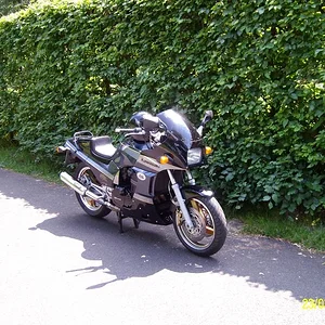Voll durch die Hecke :)